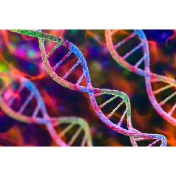 Grundlagen der Epigenetik (Certificate of Advanced Studies) - (April 24 bis April 25)